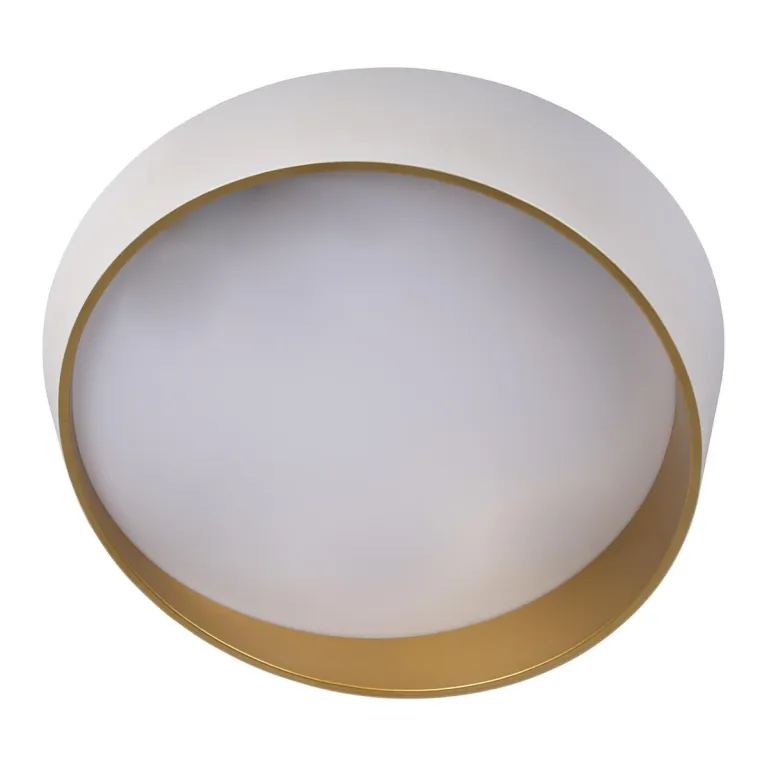 Потолочный светодиодный светильник Loft IT Coin 10199 White в Нижнем Новгороде