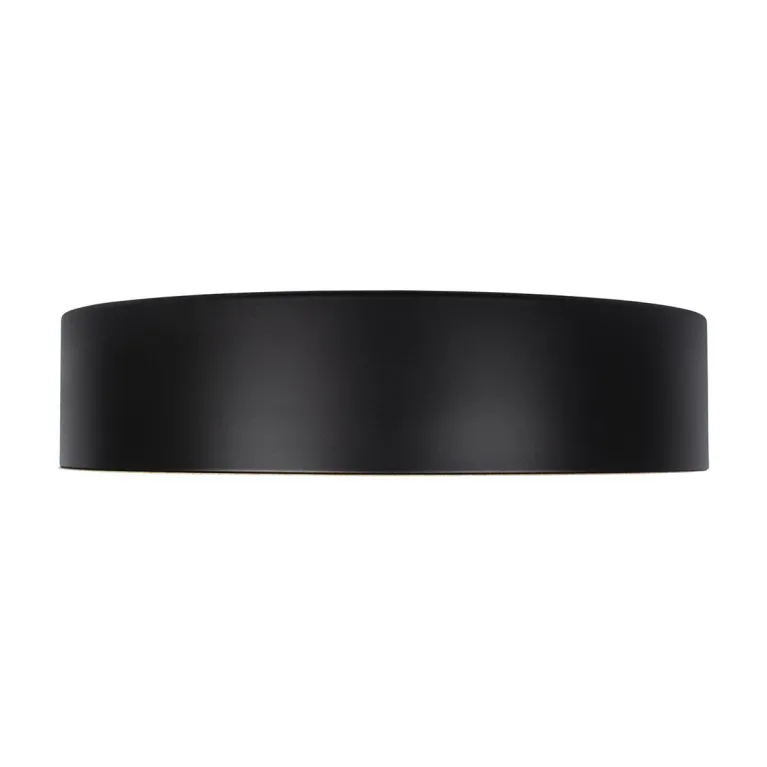 Потолочный светодиодный светильник Loft IT Coin 10202 Black в Нижнем Новгороде