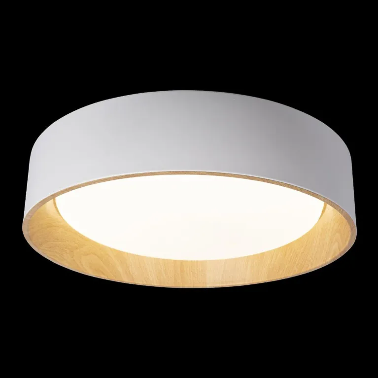 Потолочный светодиодный светильник Loft IT Coin 10202 White в Нижнем Новгороде
