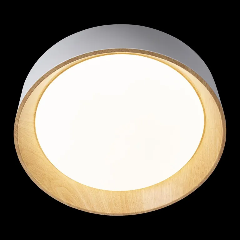 Потолочный светодиодный светильник Loft IT Coin 10202 White в Нижнем Новгороде