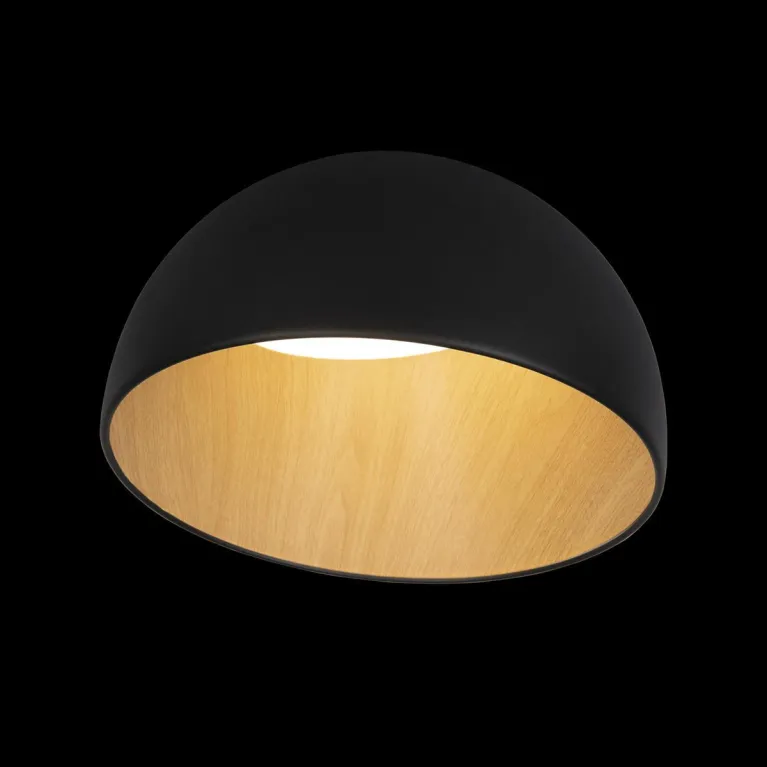 Потолочный светодиодный светильник Loft IT Egg 10197/350 Black в Нижнем Новгороде
