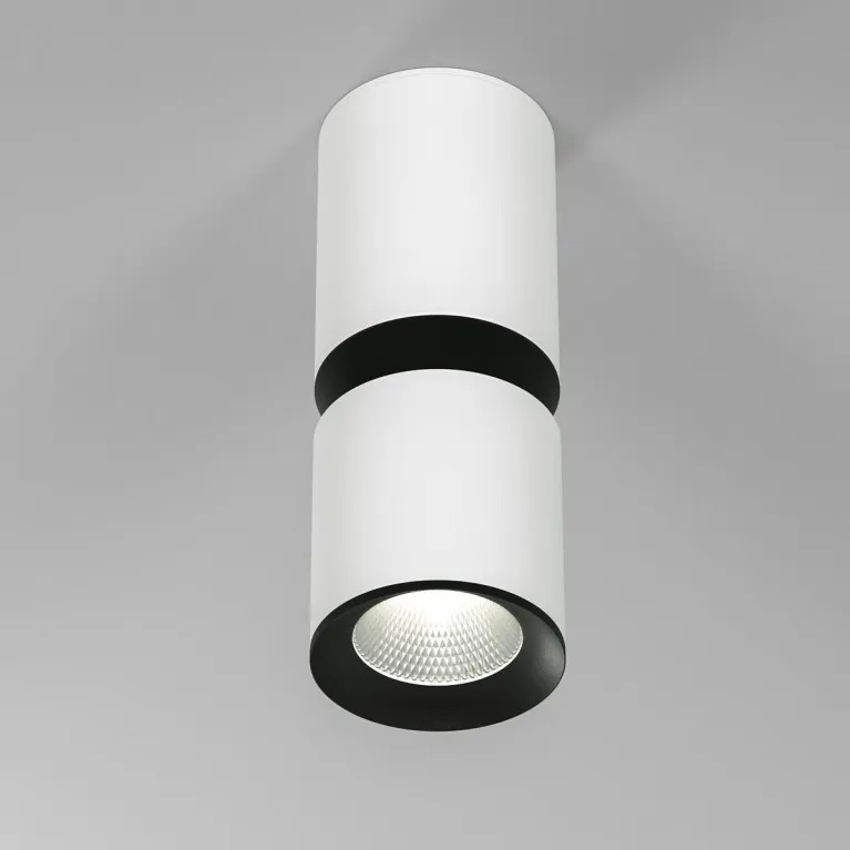 Потолочный светодиодный светильник Elektrostandard Kayo 25048/LED 12W 4000К белый/чёрный a064728 в Нижнем Новгороде