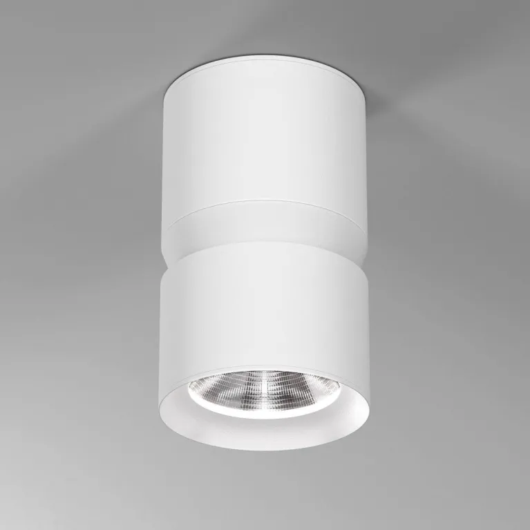 Потолочный светодиодный светильник Elektrostandard Kayo 25049/LED 12W 4000К белый a064730 в Нижнем Новгороде