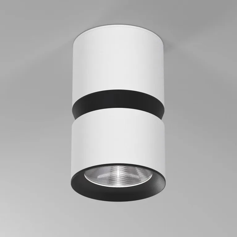 Потолочный светодиодный светильник Elektrostandard Kayo 25049/LED 12W 4000К белый/черный a064731 в Нижнем Новгороде