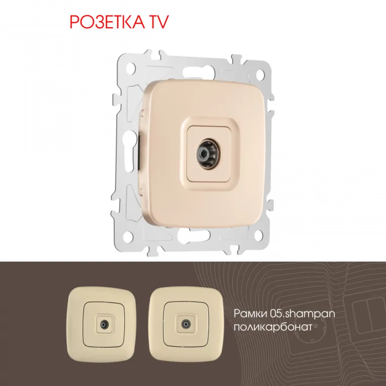 Розетка TV Arte Milano 205.43-1.shampan в Нижнем Новгороде
