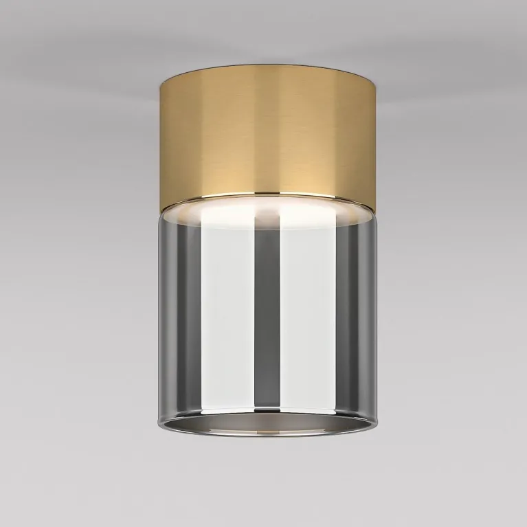 Потолочный светодиодный светильник Elektrostandard Lumen 25047/LED 10W 4000К латунь/дымчатый a064708 в Нижнем Новгороде