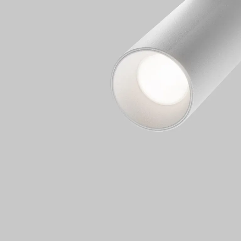 Трековый светодиодный светильник Maytoni Technical Exility Focus LED TR032-4-5W3K-S-DS-W в Нижнем Новгороде
