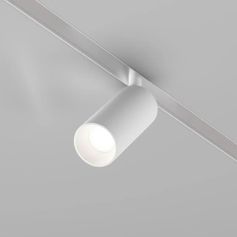 Трековый светодиодный светильник Maytoni Technical Exility Focus LED TR032-4-5W3K-S-DS-W в Нижнем Новгороде
