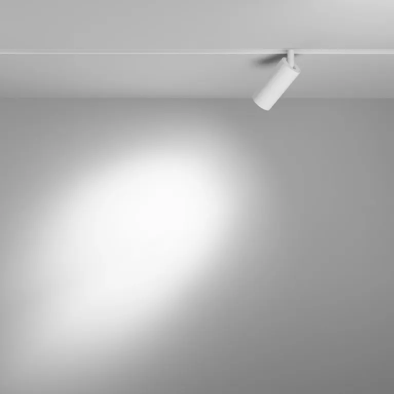 Трековый светодиодный светильник Maytoni Technical Exility Focus LED TR032-4-5W3K-S-DS-W в Нижнем Новгороде