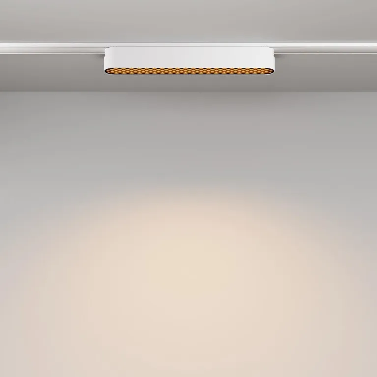 Трековый светодиодный светильник Maytoni Technical Radity Basis Grid TR084-1-12W3K-W в Нижнем Новгороде