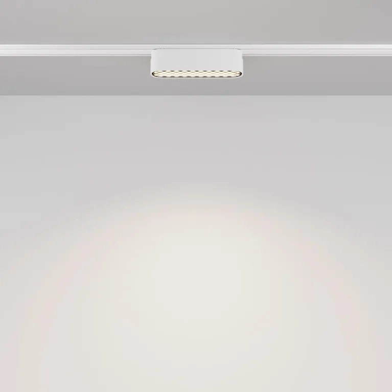 Трековый светодиодный светильник Maytoni Technical Radity Basis Grid TR084-1-6W4K-W в Нижнем Новгороде