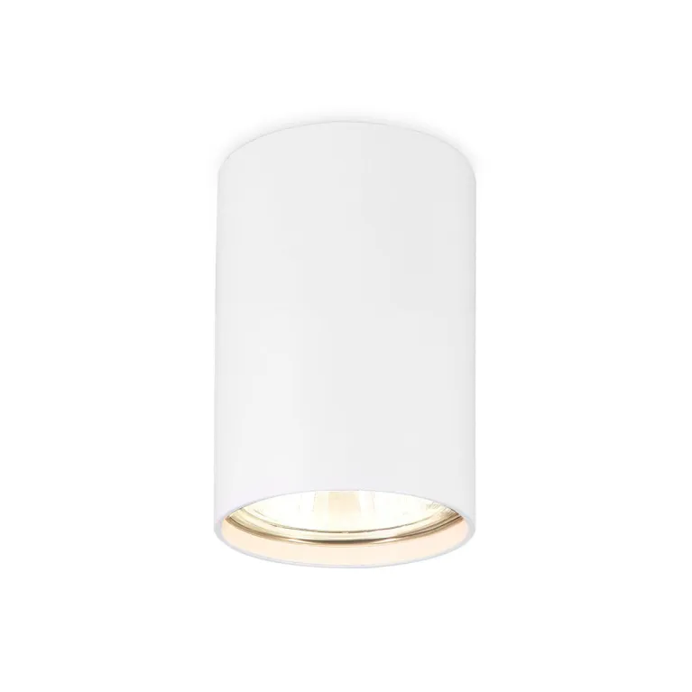 Потолочный светильник Ambrella light Techno Spot TN213101 в Нижнем Новгороде