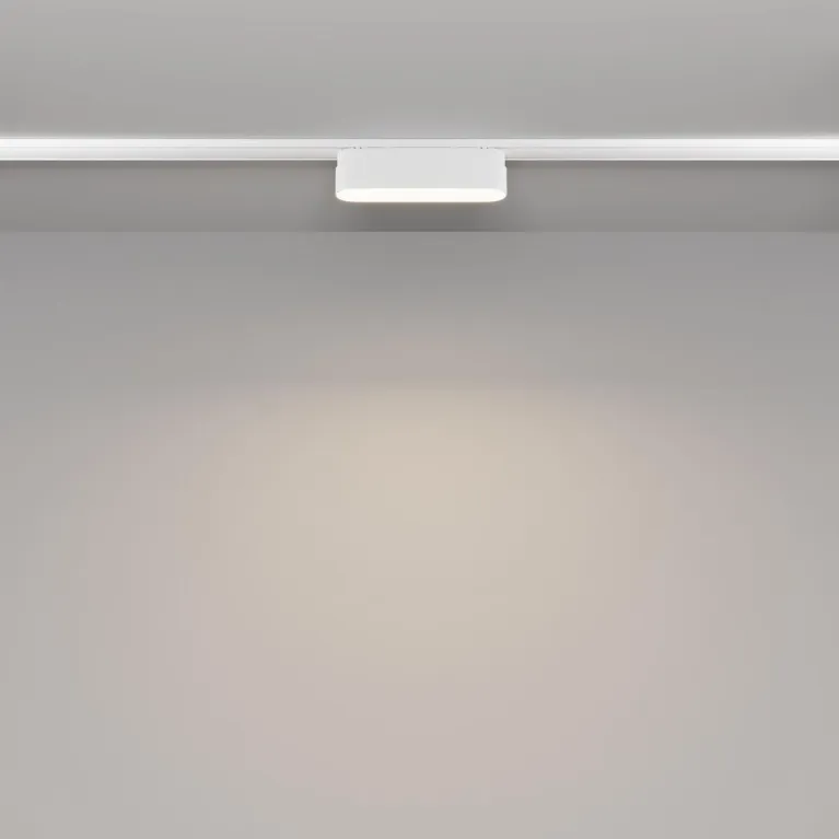 Трековый светодиодный светильник Maytoni Technical Radity Basis TR080-1-6W4K-W в Нижнем Новгороде