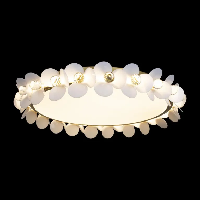 Потолочный светодиодный светильник Loft IT Bride 10176 в Нижнем Новгороде