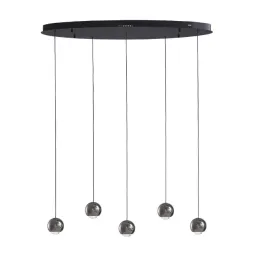 Подвесной светильник Lumien Hall Danay LH8027/5P-BK-PBK