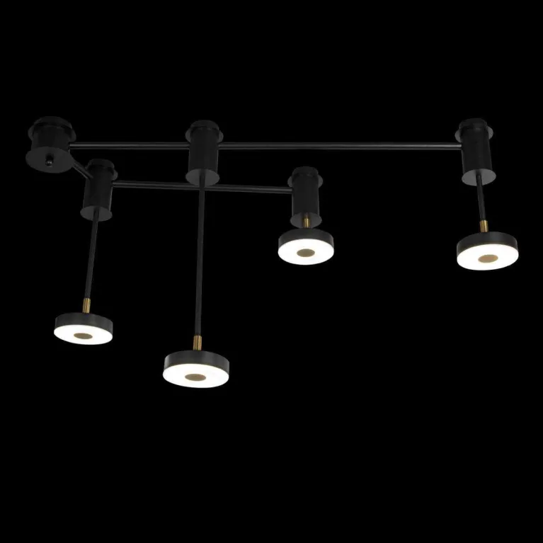 Потолочный светильник LOFT IT Flock 10189/1000 в Нижнем Новгороде