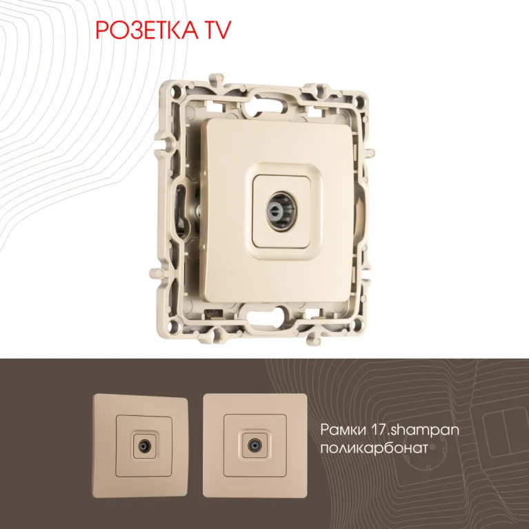 Розетка TV Arte Milano 217.43-1.shampan в Нижнем Новгороде