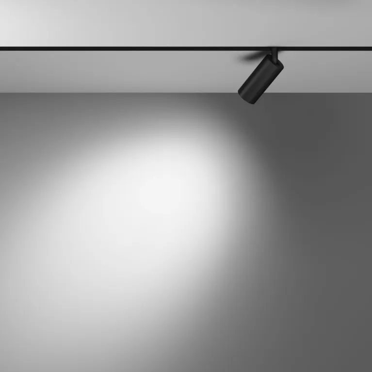 Трековый магнитный светильник Maytoni Focus LED TR032-4-5WTW-M-DSZ-B в Нижнем Новгороде