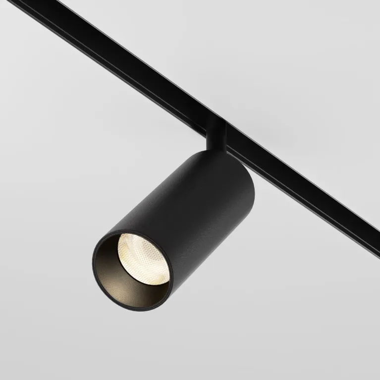 Трековый магнитный светильник Maytoni Focus LED TR032-4-12WTW-M-DSZ-B в Нижнем Новгороде