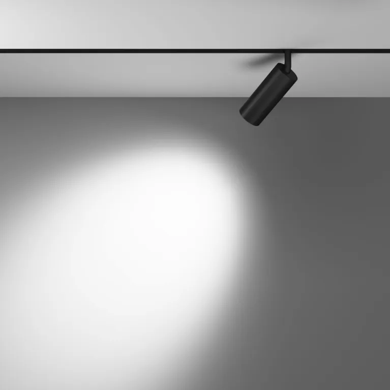 Трековый магнитный светильник Maytoni Focus LED TR032-4-12WTW-M-DSZ-B в Нижнем Новгороде