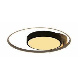 Потолочная люстра Escada 10244/2LED