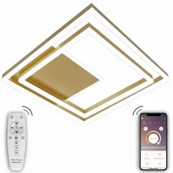 Потолочная люстра Natali Kovaltseva LED LAMPS 81314