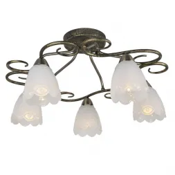 Потолочная люстра Lussole Promo Gustoso LSP-0151