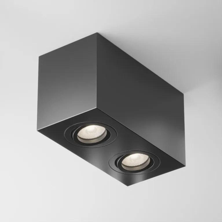 Потолочный светильник Maytoni Technical Atom C017CL-02B в Нижнем Новгороде