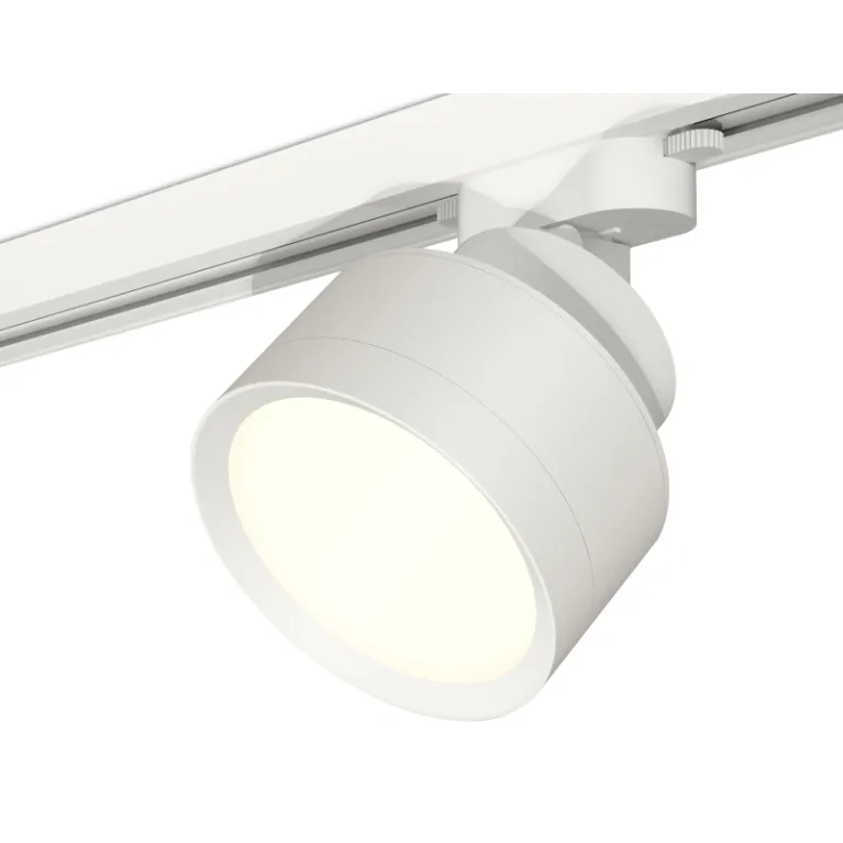 Трековый светильник Ambrella Light Track System XT8101001 (A2524, A2105, C8101, N8112) в Нижнем Новгороде