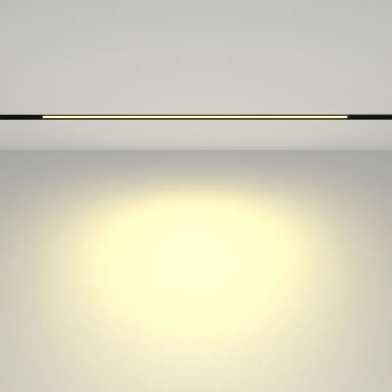Трековый магнитный светильник Maytoni Basis TR030-2-24W2.7K-B в Нижнем Новгороде
