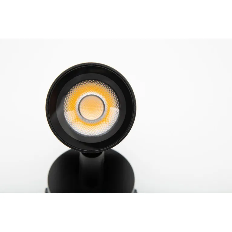 Ландшафтный светодиодный светильник DesignLed TN DL-FS0012-9-BL-WW 006810 в Нижнем Новгороде