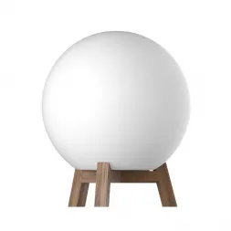 Напольно-настольный светильник m3light Wood 10722003