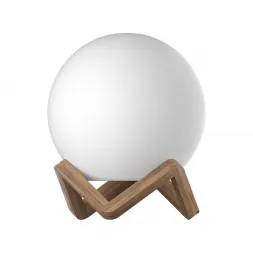 Напольно-настольный светильник m3light Wood 12722011