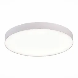 Потолочный светодиодный светильник ST Luce ST606.542.96