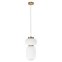 Подвесной светильник Loft IT Duff 10422/B