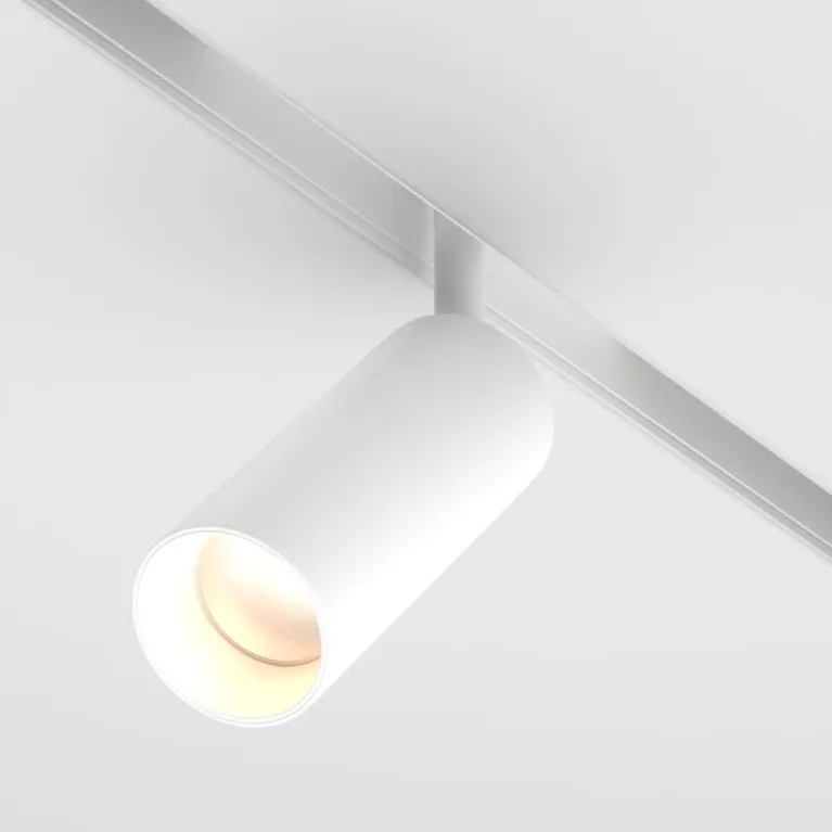 Трековый светодиодный светильник Maytoni Technical Focus LED TR032-2-12W3K-S-W в Нижнем Новгороде