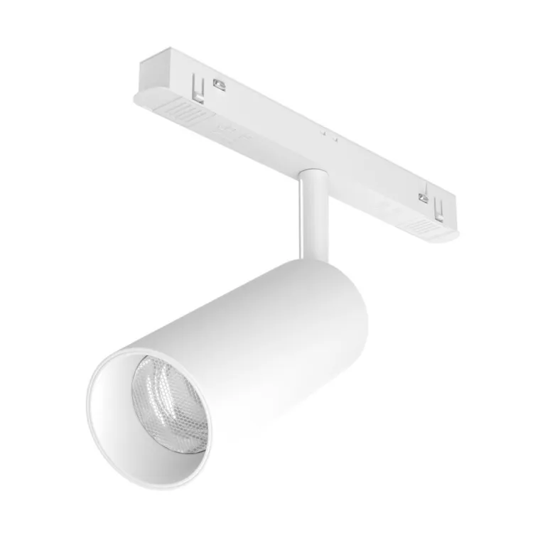 Трековый светодиодный светильник Maytoni Technical Focus LED TR032-2-12W4K-S-W в Нижнем Новгороде