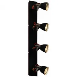 Спот Lussole Frontino LSL-7409-04