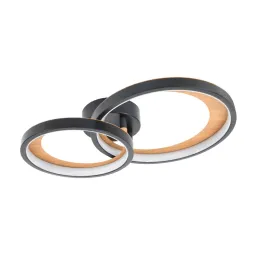 Потолочный светильник Escada Callisto 10265/2LED