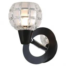 Спот Lussole Silandro LSL-8601-01