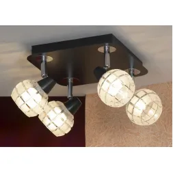 Спот Lussole Silandro LSL-8601-04