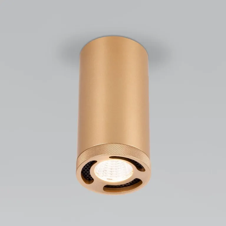 Потолочный светодиодный светильник Elektrostandard Lead 25033/LED золотой a062523 в Нижнем Новгороде