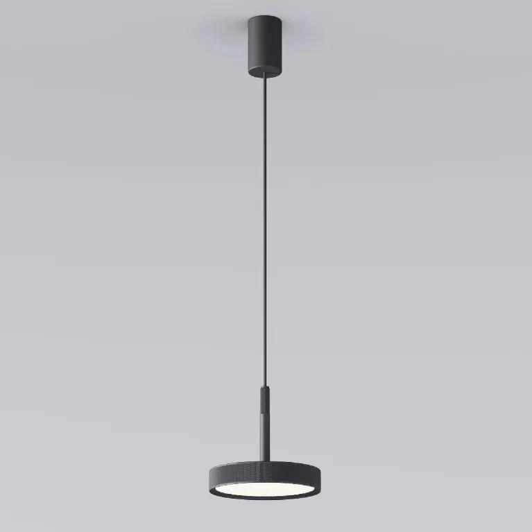 Подвесной светильник Elektrostandard Plate 4690389203350 50260 LED a065411 в Нижнем Новгороде