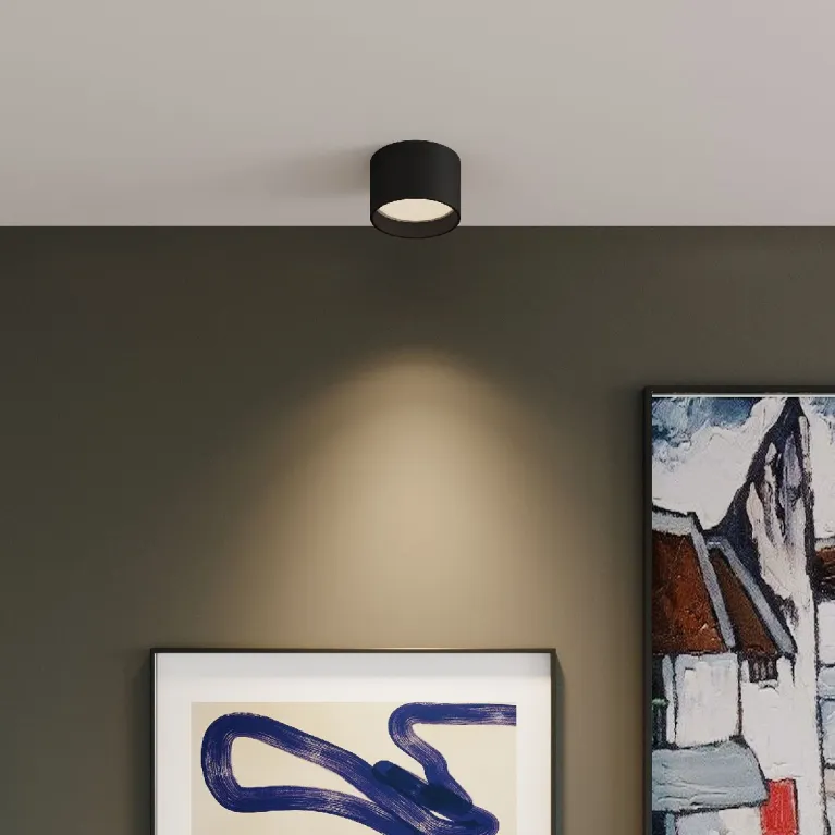 Накладной светильник Elektrostandard Banti 4690389196768 25123/LED a063929 в Нижнем Новгороде