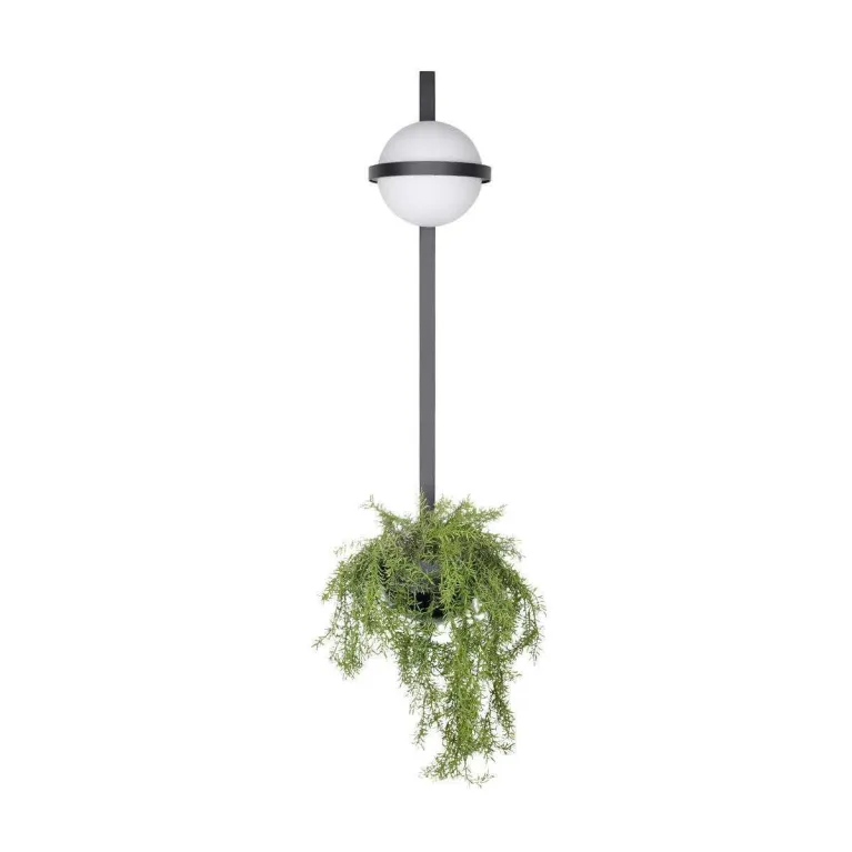 Настенный светильник LOFT IT Jardin 10121W/B в Нижнем Новгороде