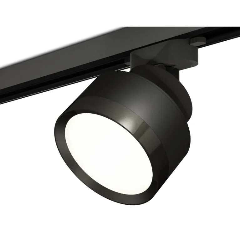 Трековый светильник Ambrella Light Track System XT8102002 (A2526, A2106, C8102, N8113) в Нижнем Новгороде